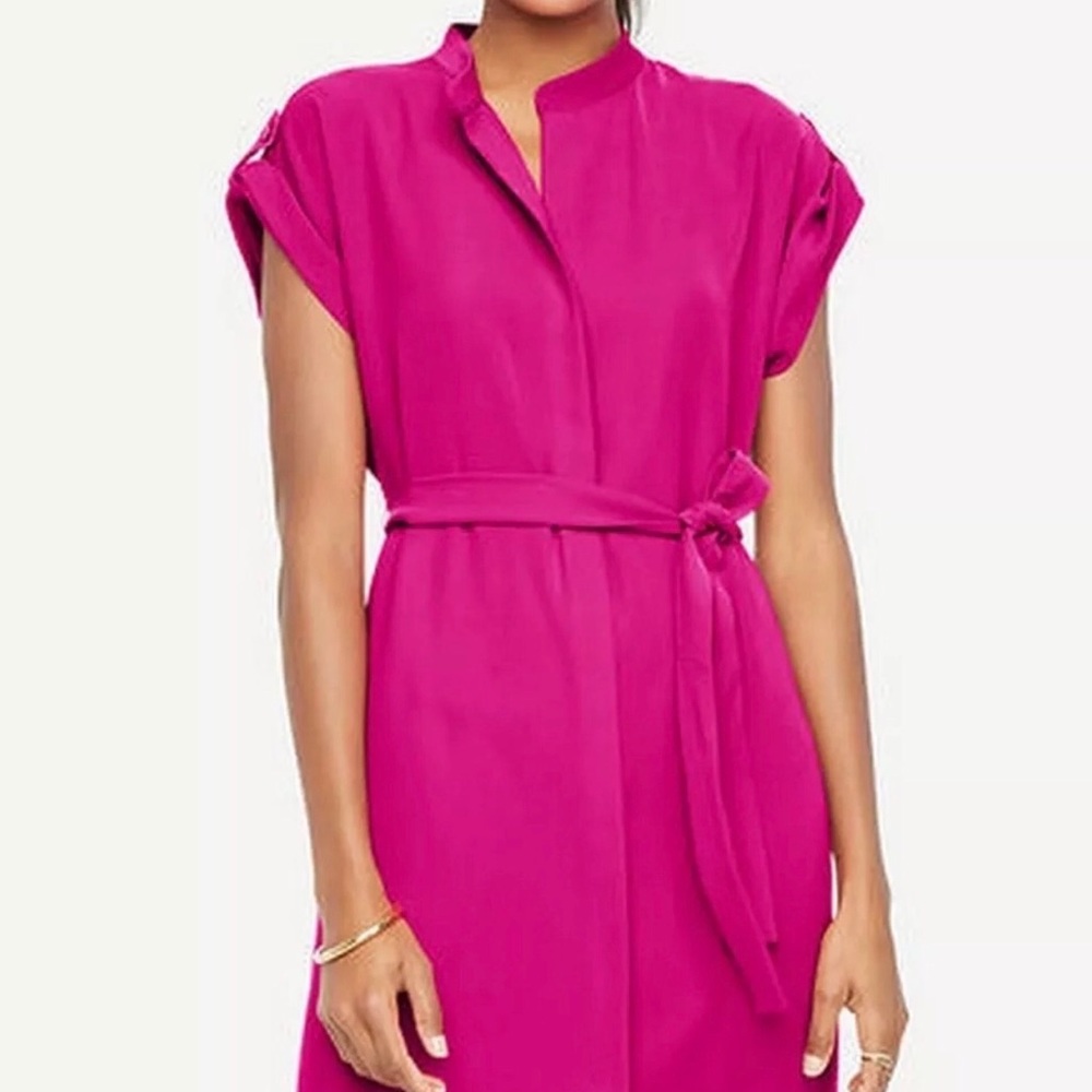 Ann Taylor Fuchsia Dress sz. Small